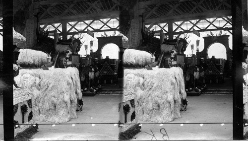 Cape Colony Exhibit, Agricultural Hall, Columbian Exposition