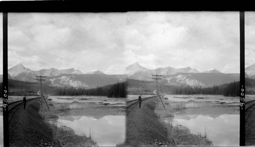 Van Horne Range of the Rockies and the Kicking Horse River, B.C., Canada. Yoho Park