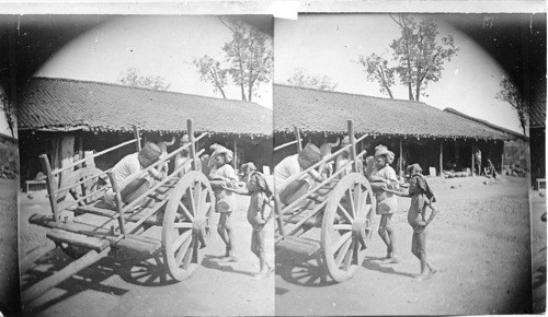 Two wheeled wagon cart. India