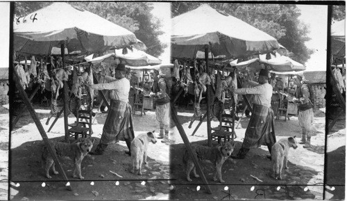 A Turkish Meat market, Constantinople Turkey