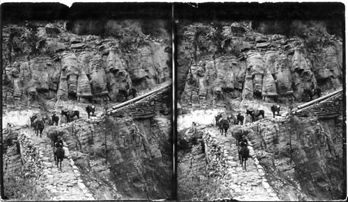 "the Big Fill," a fine piece of trail construction, Grand View Trail. Grand Canyon. Ariz