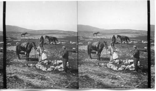 Sacred circle in Mt. Nebo, Palestine