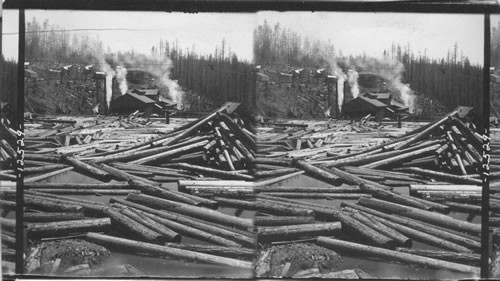 Millions of feet of lumber. Logs at sawmill in Cascade Mts