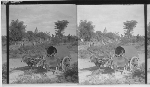 The Picturesque Road to Pagan, Lined with Ruins of Pagodas and Carved Images, Burma