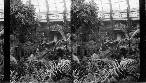 New York Exhibit, Horticultural Building, World's Columbian Exposition