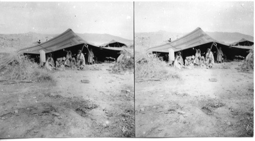 Homes- Tent Homes on the Desert