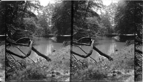 Scene in Rock Creek Park, Wash., D.C