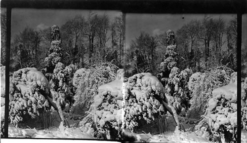 Victoria Park in Winter, Niagara, Can