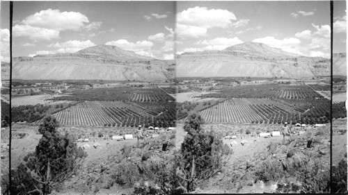 Grand River Valley and its famous peach orchards,, N.N.W. Palisade, Colorado