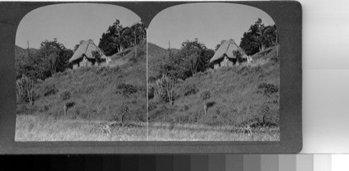 In the countryside through which the Trans-Isthmian highway runs from the Atlantic to the pacific, there are many native homes like this bohio perched high on the hillside, about halfway across the isthmus. republic of Panama, C.A