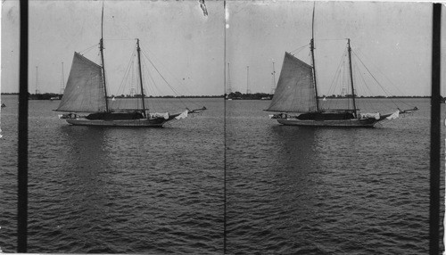 Radio Station at Annapolis from Ferry, looking East