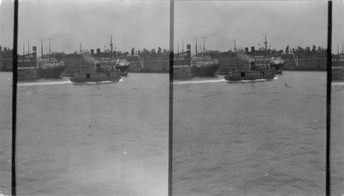 Transatlantic Steamers at Their Piers in New York City, N.Y