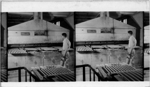 Fig bars being placed in oven. Zion, Ill