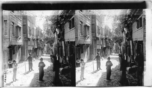 Typical Turkish homes with latticed windows for the women. Turkey