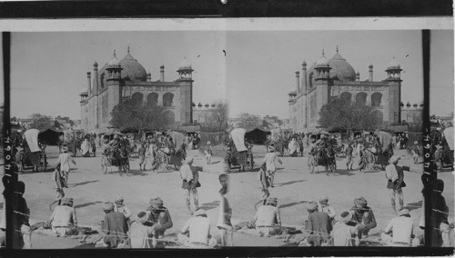 The “hansom Cabs” of Agra in the street before the Jumma Mosque, India