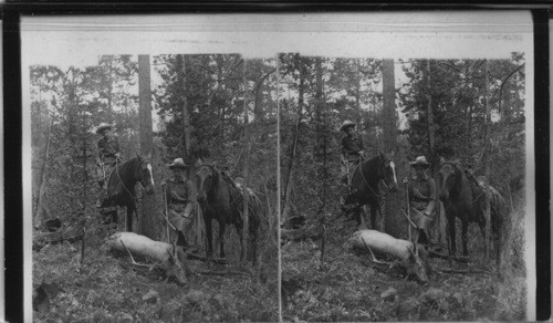 Fair huntresses in the elk country of Wyoming. U.S.A. [Julia Angleo Boardman, Inez Wishtman, 1901 Broadman party. 1/18/85 JBM]