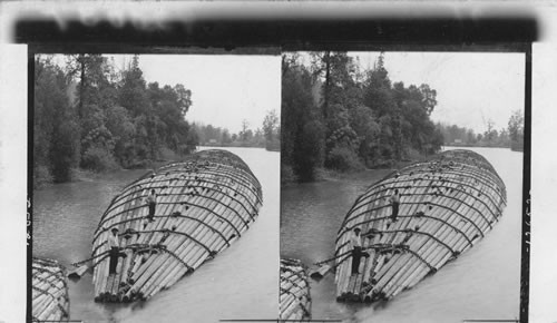 Largest log raft ever built contains 65,000 logs each 125 ft. long. Columbia River, Washington