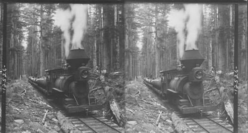 A characteristic logging train and railroad in the heart of the Cascade Mts. [W33312 Keystone active 9 EWE 10/840]