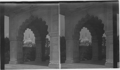 The Pearl Mosque, Delhi, India