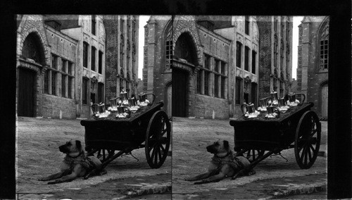 Milk Cart on the Market Street, Belgian Village, A Century of Progress, Chicago, 1933