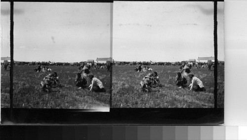 Indians preparing camp to be used in the Sham Battle, and aiming rifles directly at the photographer in sport. Fort Belknap Reservation, Mont., July 1906