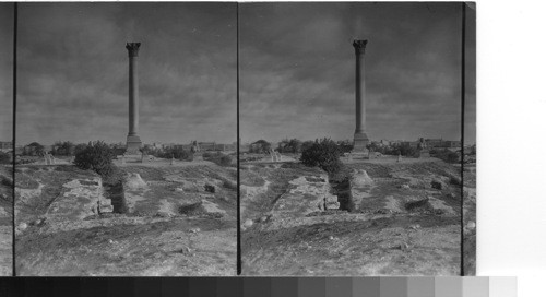 Pompeii's Pillar, Alexandria, Egypt. Pompeii's Pillar