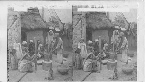 Shelling rice, and Gossiping with the Neighbors - home life of Contented Citizens of Cashmere, Kashmir, India