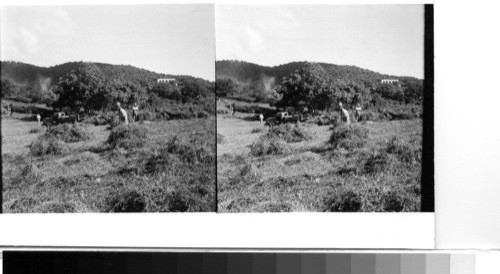 Island of St. John: Scene near Cruz Bay - countryside in the least developed of the American Virgin Islands