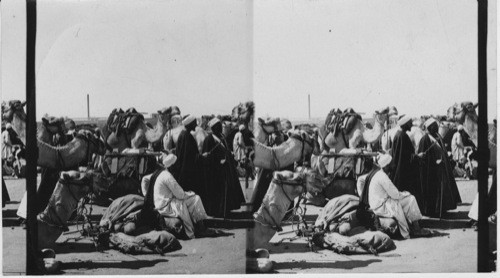 Camel traders from Soudan, Cairo, Egypt