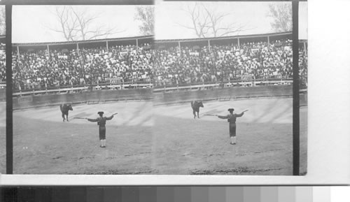 The favorite sport in Mexico - Bullfight and crowed of spectators on a public holiday. Mexico