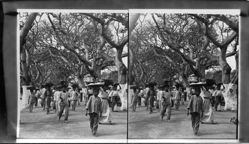 A Avenue in the Navy Yard, Cavite, P.I. More Or Less Suitable For U S Set - Too common to be interesting to Filipinos. E.E. Baker, 1929