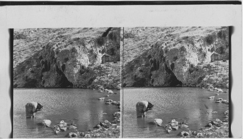 Gideon’s Spring, near Jezreel, Palestine