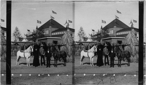 Trained horse in the Mexican Village. Atlanta Exposition, Georgia