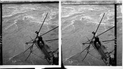 Siwash Indian fishing for salmon - pulling in a 30 lb. fish, B.C. Canada