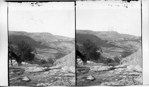 Mt. Nebo, south from Wady Auyun Musa, showing ancient roads that leaks to Jordan, Palestine