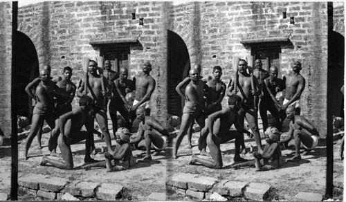 Native wrestlers, Bombay, India