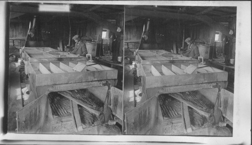 Interior of sugar house showing furnace and evaporator arrangements. Vermont