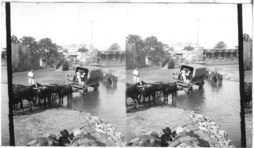 Covered Wagon, Fording a stream, St. Louis World's Fair, Missouri