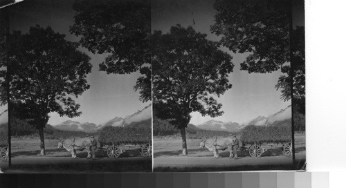 A farmer in the Bavarian Alps, near Oberammergau, Germany