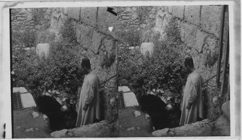 Entrance to the Pool Bethesda Palestine Jerusalem