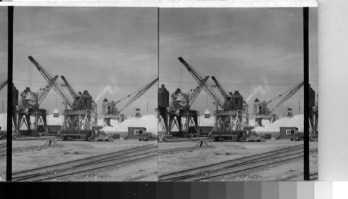 Unloading oars of sulfur [sulphur] at Galveston, Tex