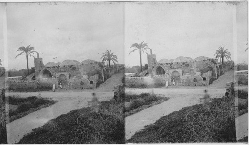 A wayside mosque in the Plain of Sharon, Lydda, Palestine