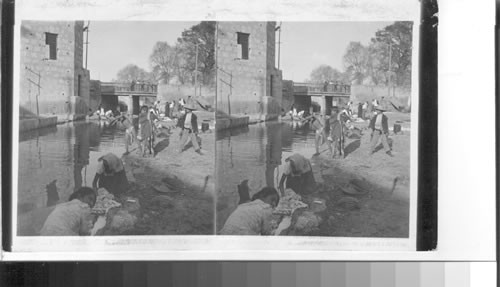 Along the canal, washday at Monterry [Nuevo Leon]