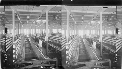 Mule Spinning Frames, Cotton, Mills, Adams, Mass