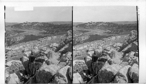 Rocky Bethel and its olive groves from the south. Palestine