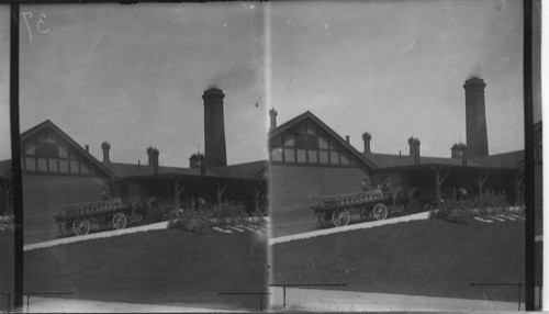 Unloading Milk at City Dairy Co. of Toronto at Woodstock, Ont