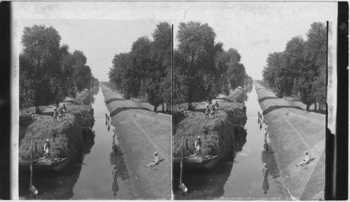 A Land of Sunshine and Long Journeys - frieight Boats on tree Lined Canal (W.). Sikandarah. India