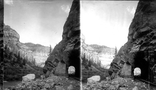 In the Canyon of the Grand along the D & R.G. RR., Colo