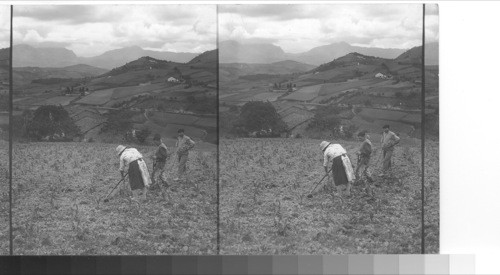 In the Basque foothills near Durango. Ermira, Spain