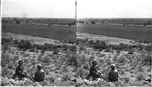 Arizona. Sagebrush, Red Mountain